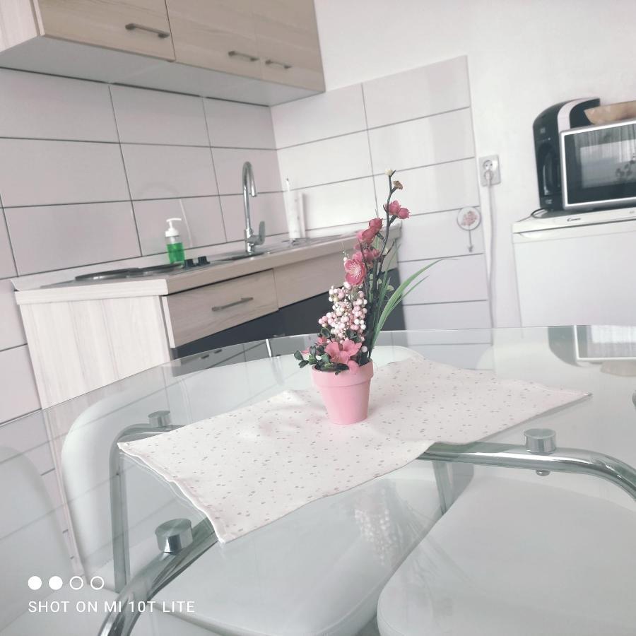 Studio Apartman Valentina Velika Mlaka Ngoại thất bức ảnh